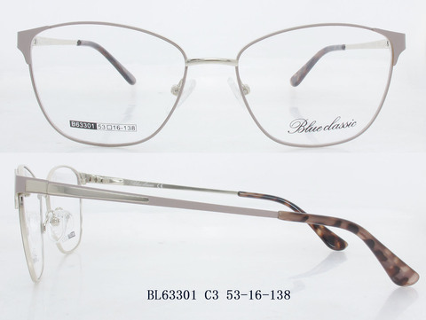 B63301