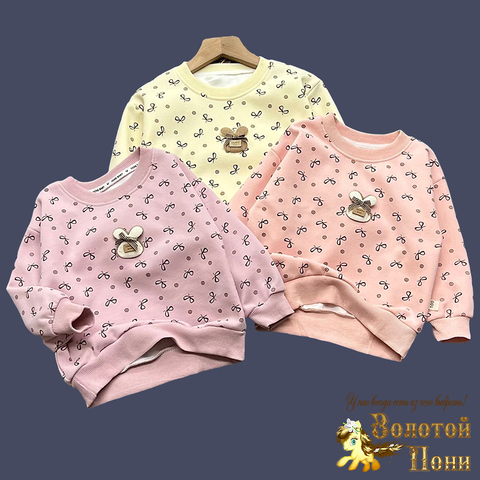 Толстовка девочке (2-6) 241217-W4018