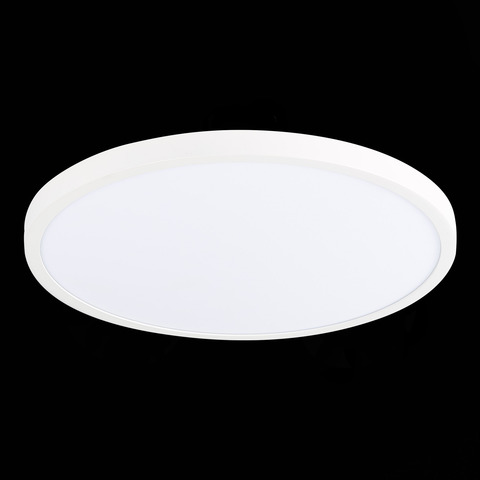 Светильник настенно-потолочный ST Luce ST601.542.32