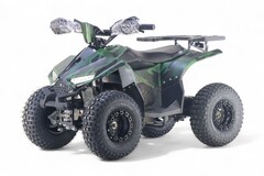 Детский электрический квадроцикл RiverToys LEON 1200W