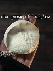Молды Набор 