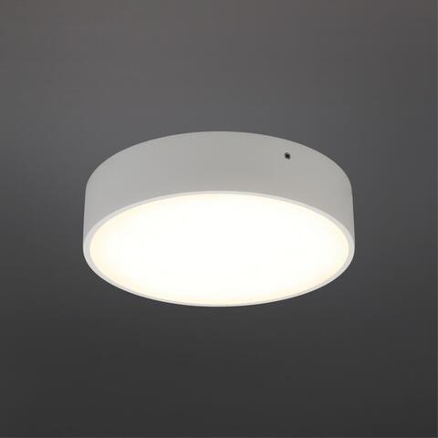 Потолочный светодиодный светильник Aployt Evon APL.0113.09.18