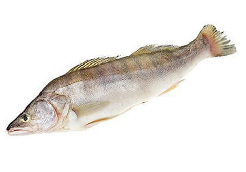 Судак замороженный~700г