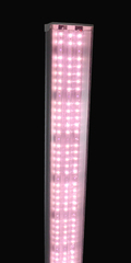 Фитолампа 30 см, 36W