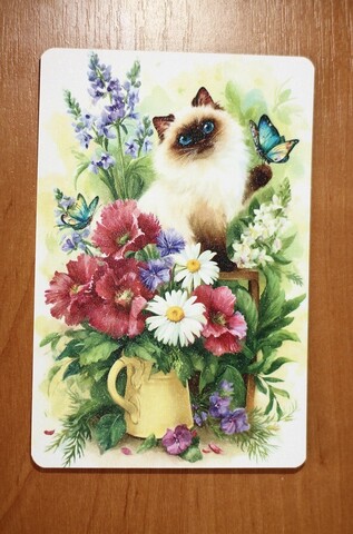 Котик и цветы Котик и цветы