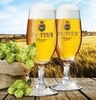 Veltins Pilsner in keg