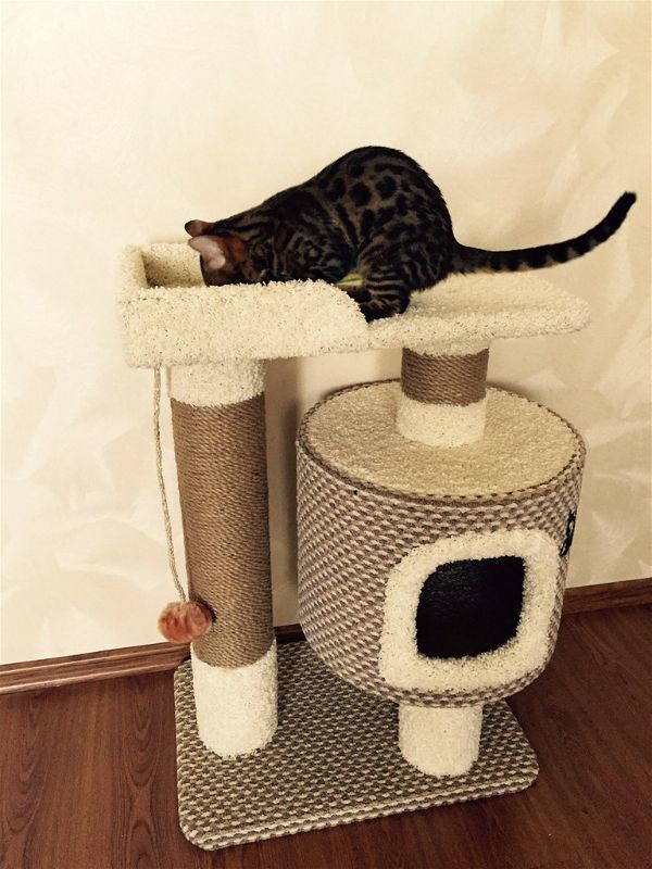 Кошкам - Домик для кота - купить спальное место для кошки в Киеве | Zoolandia