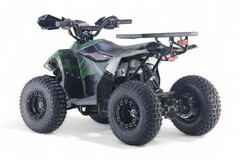 Детский электрический квадроцикл RiverToys LEON 1200W