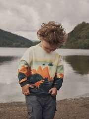 Толстовка для мальчика Next 608-530, Молочный, Черный