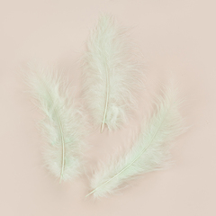 Перья Мятный, 12*15 см, 30 шт.