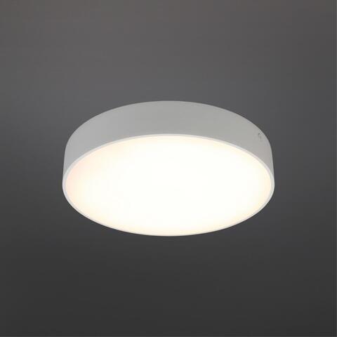 Потолочный светодиодный светильник Aployt Evon APL.0113.09.24