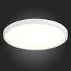Светильник настенно-потолочный ST Luce ST601.542.32