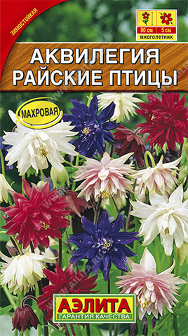 Аквилегия Райские птицы, смесь окрасок Аэлита