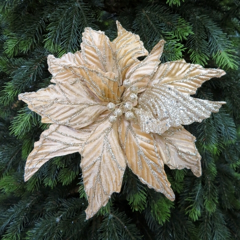 Пуансеттия на клипсе 30см House of seasons шампань