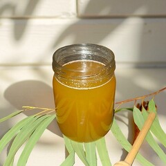 Мед Майский черноклена c травами / 650 гр