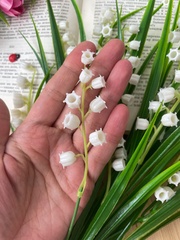 Ландыши искусственные из мягкого пластика, реалистичные, высота регулируется 35-44 см, набор 2 букета.