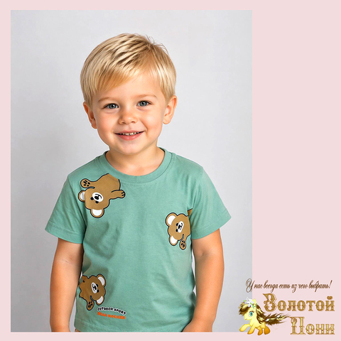 Футболка хлопок м (2-5) 260416-N646