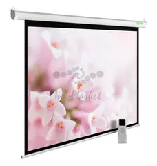 Экран Cactus 134" 240x240см MotoExpert CS-PSME-240x240-WT 1:1 настенно-потолочный рулонный белый (моторизованный привод)