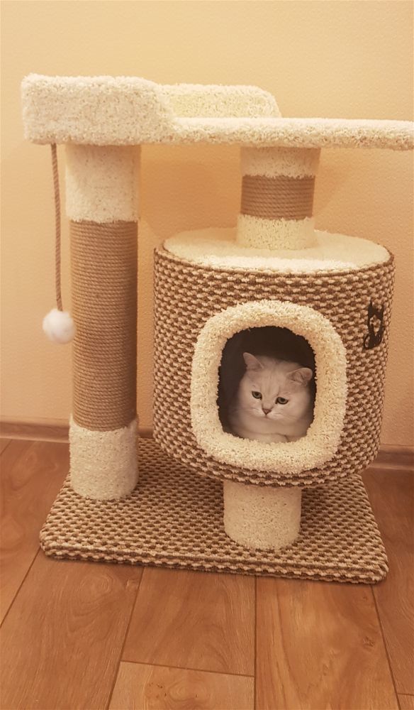 Домики для кошек с когтеточкой