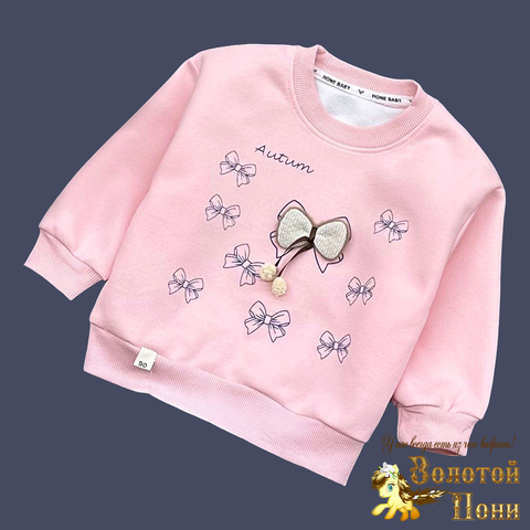 Толстовка девочке (2-6) 241217-W4042