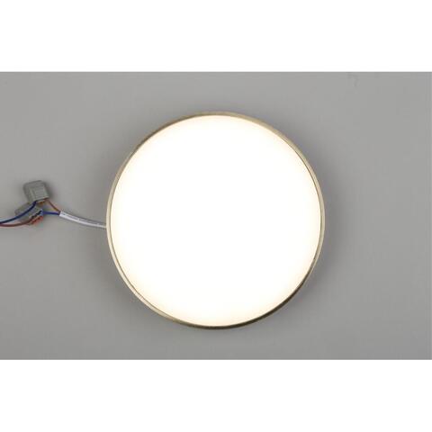 Потолочный светодиодный светильник Aployt Evon APL.0114.29.24