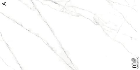 NT Ceramic Atlas Home Calacatta Light 120x270