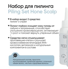 Tashe professional Набор для регуляции работы сальных желез (tsh36) 100+100мл