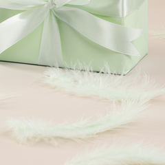 Перья Мятный, 12*15 см, 30 шт.