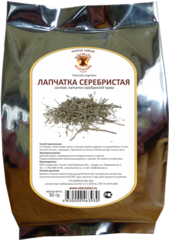 Лапчатка серебристая (Старослав)