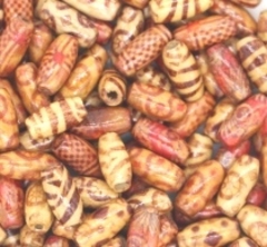 Бусины пришивные дерево, р. 5х15 мм