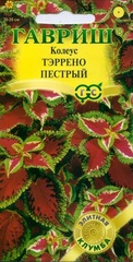 Семена Колеус Тэррено Пестрый