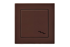 Переключатель Одноклавишный Коричневый LIREGUS EPSILON