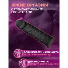 Фаллоимитатор с двойной плотностью Model 2 от SILEXD черный (19,2*4,7 см)