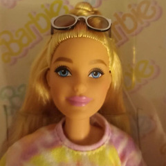 Барби Стоуни Кловер Лейн