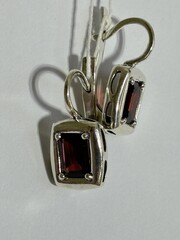 218 натур (серьги из серебра)