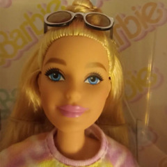 Барби Стоуни Кловер Лейн