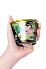 Массажная свеча Exotic Green Tea с ароматом зелёного чая - 170 мл. - 