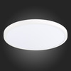 Светильник настенно-потолочный ST Luce ST601.542.32