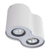 Светильник точечный Arte Lamp Falcon A5633PL-2WH