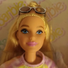 Барби Стоуни Кловер Лейн