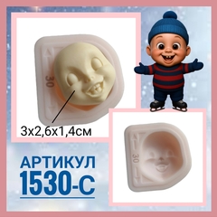 1530-С Молд силиконовый 