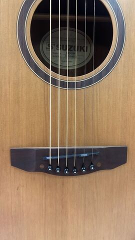Suzuki SDG-16M акустическая гитара, верхняя дека ель, корпус красное дерево, накладка грифа палисандр