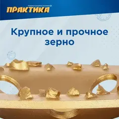 Чашка твёрдосплавная ПРАКТИКА 125 х 22 мм плоская, зерно # 8 крупное (795-354)