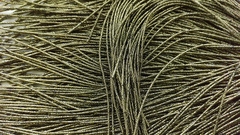 Упругая канитель хаки/золото 1,6мм