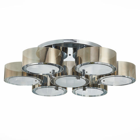 Светильник потолочный Evoluce Foresta SL483.702.07