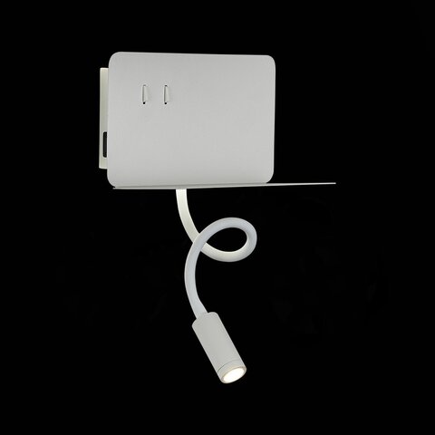 Светильник настенный ST Luce Pinaggio SL1576.501.02