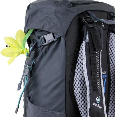 Картинка рюкзак туристический Deuter Trail 28 SL graphite-black - 5