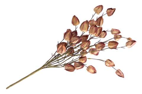 Ветка декоративная 46см Anna Lafarg Light autumn Бутоны