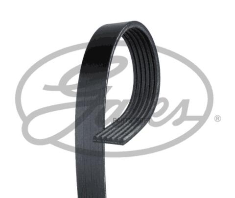 Ремень ручейковый GATES   6 PK  2083