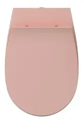 Isvea Sentimenti Neo 40D40541I-S Крышка-сиденье для унитаза, микролифт, лососевый матовый фото